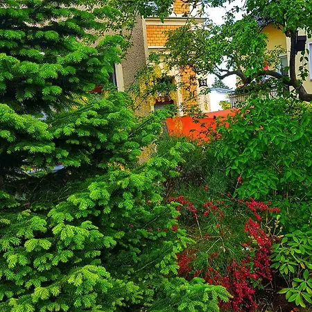 Apartment Triftanfang Ostseebad Heringsdorf